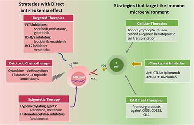 The Elephant in The Room: AML Relapse Post Allogeneic Hematopoietic Cell Transplantation